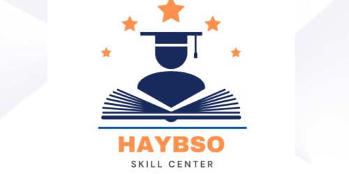 haybso cover logo
